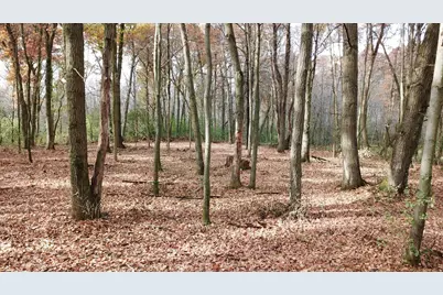 Tbdx 165th Avenue SE, Santiago Township, MN 55319 - Photo 10