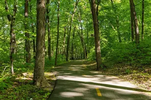 7465 Dallas Ln N, Maple Grove, MN 55311 - Photo 30