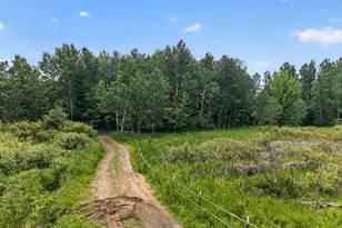 32114 152nd St NW, Princeton, MN 55371 - Photo 80