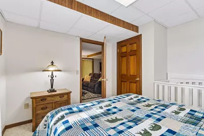 48937 N Shore Road, Waterville, MN 56096 - Photo 46