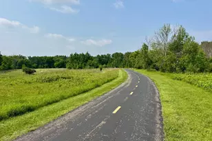 6719 105th Trail N, Brooklyn Park, MN 55445 - Photo 64