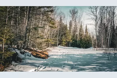 Tbd Parcel 18 Hwy 115, Tower, MN 55790 - Photo 8