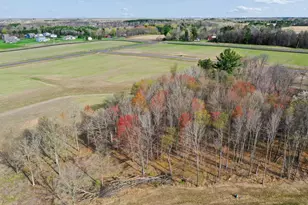 528X 389th Trail, North Branch, MN 55056 - Photo 16