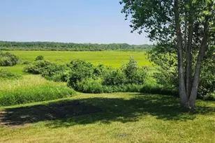 17168 263rd Ave, Paynesville, MN 56362 - Photo 40