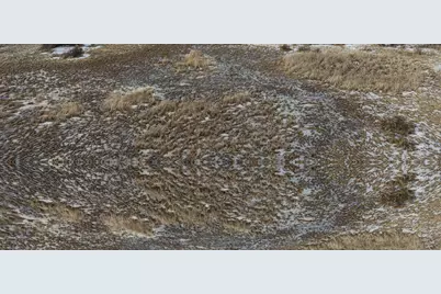 17168 263rd Avenue, Paynesville, MN 56362 - Photo 30