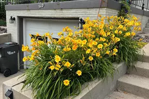 512 Spruce St, Fergus Falls, MN 56537 - Photo 34