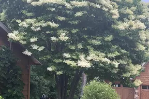 25809 Emerald Dr, Pelican Rapids, MN 56572 - Photo 68