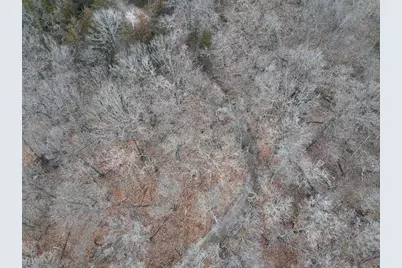 Tbd County 26, Houston, MN 55943 - Photo 6