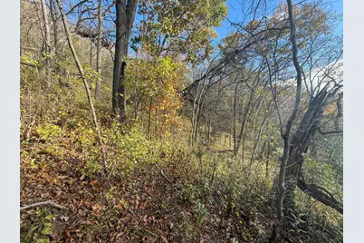 Tbd County 26, Houston, MN 55943 - Photo 36