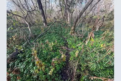 Tbd County 26, Houston, MN 55943 - Photo 26