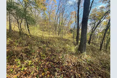 Tbd County 26, Houston, MN 55943 - Photo 38