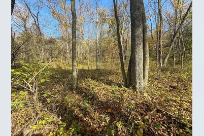 Tbd County 26, Houston, MN 55943 - Photo 40