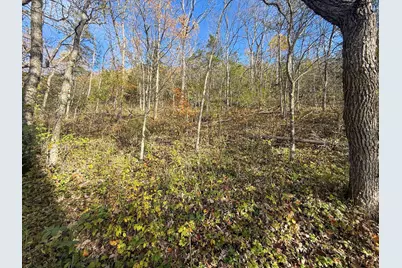 Tbd County 26, Houston, MN 55943 - Photo 34