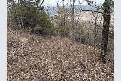 Tbd County 26, Houston, MN 55943 - Photo 8