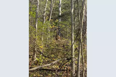 Tbd County 26, Houston, MN 55943 - Photo 32