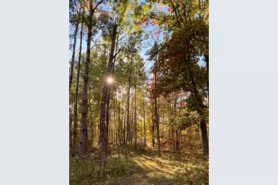 24281 Hazel Wood Drive, Park Rapids, MN 56470 - Photo 60