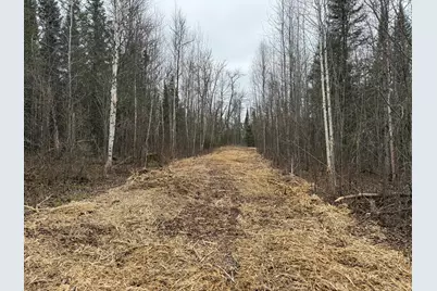 Tbd N Little Turtle Lake Rd, Marcell, MN 56657 - Photo 2