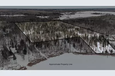 Tbd N Little Turtle Lake Rd, Marcell, MN 56657 - Photo 1