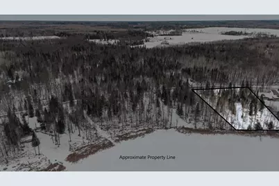 Tbd N Little Turtle Lake Rd, Marcell, MN 56657 - Photo 6