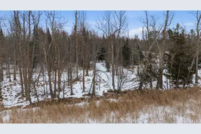 Tbd N Little Turtle Lake Rd, Marcell, MN 56657 - Photo 8