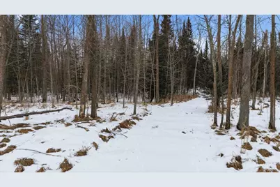 Tbd N Little Turtle Lake Rd, Marcell, MN 56657 - Photo 22