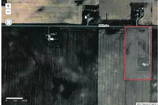 17742 280th Ave, Ellendale, MN 56026 - Photo 38