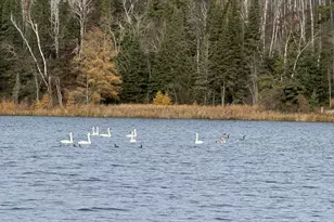 11100 Fisher Ln, Park Rapids, MN 56470 - Photo 44