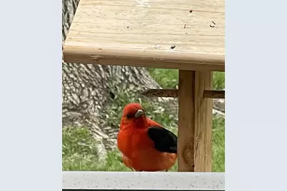 11100 Fisher Lane, Park Rapids, MN 56470 - Photo 34