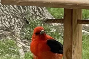 11100 Fisher Ln, Park Rapids, MN 56470 - Photo 34