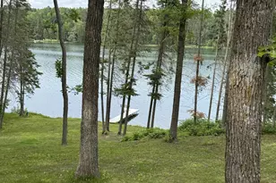 11100 Fisher Ln, Park Rapids, MN 56470 - Photo 4