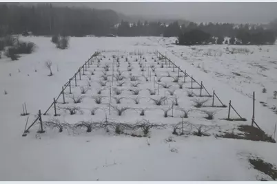 53434 Smolik Road, Max, MN 56659 - Photo 6