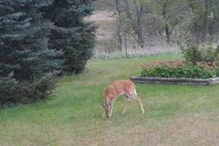 72295 273rd St, Dassel, MN 55325 - Photo 20