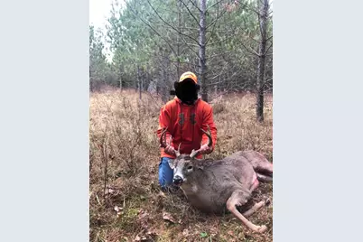 11809 Cr-9, Solway, MN 56678 - Photo 4