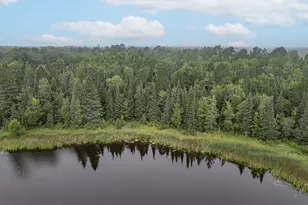 4Xxx Toivonen Rd, Makinen, MN 55763 - Photo 1