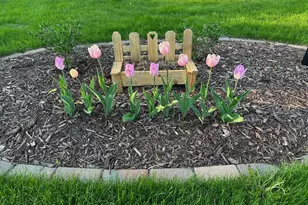 3727 Farmington Rd, Hopkins, MN 55305 - Photo 48