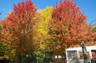 2515 Florida Ave N, Golden Valley, MN 55427 - Photo 20