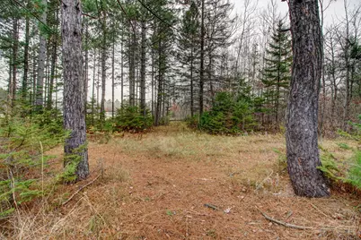 17333 169th Avenue, Park Rapids, MN 56470 - Photo 32