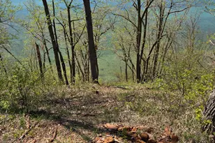 48915 Wild Rose Trail, Frazee, MN 56544 - Photo 46