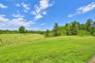 Lot B County Road 134, Pine River, MN 56474 - Photo 1