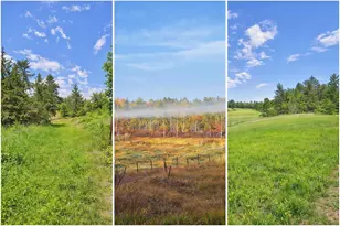 Xxx County Road 134, Pine River, MN 56474 - Photo 1