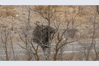 30272 County Highway 61, Henning, MN 56551 - Photo 60