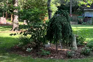 11118 7th St NE, Blaine, MN 55434 - Photo 36