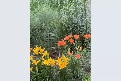 11118 7th Street NE, Blaine, MN 55434 - Photo 38