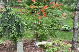 11118 7th St NE, Blaine, MN 55434 - Photo 32