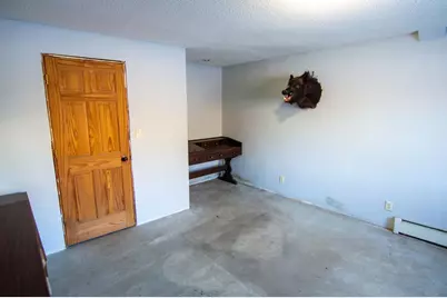 54272 310th Street, Deer Creek, MN 56527 - Photo 12