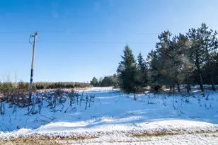 54272 310th St, Deer Creek, MN 56527 - Photo 14