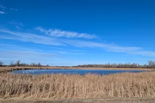 610 Cleveland Ave SW, McIntosh, MN 56556 - Photo 58