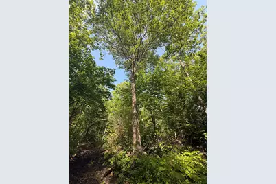 Tbd Catherine Lane, White Earth, MN 56591 - Photo 12