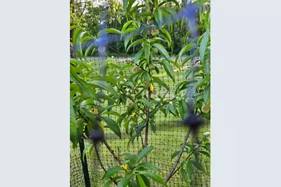 15123 Fox Street NW, Andover, MN 55304 - Photo 62