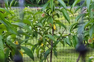 15123 Fox St NW, Andover, MN 55304 - Photo 62